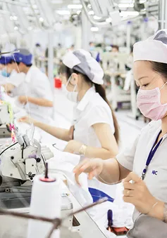 Việt Nam xuất siêu hơn 25 tỷ USD sang thị trường CPTPP