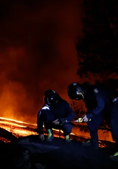 Tây Ban Nha tuyên bố vùng thảm họa do núi lửa phun trào và cam kết hỗ trợ khẩn cấp ở La Palma