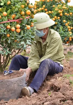 Lao động hồi hương: Khi Tết là... "gánh nặng"