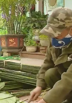 Ngày mùa vui ở làng lá dong Tràng Cát