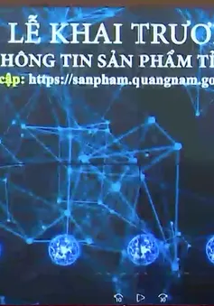 Quảng Nam ra mắt sàn giao dịch thương mại điện tử