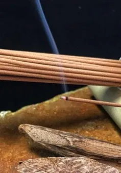 Ngày Tết nói chuyện về hương trầm