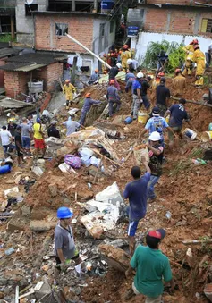 Brazil: Mưa lớn gây lũ lụt  và lở đất ở São Paulo khiến ít nhất 19 người thiệt mạng