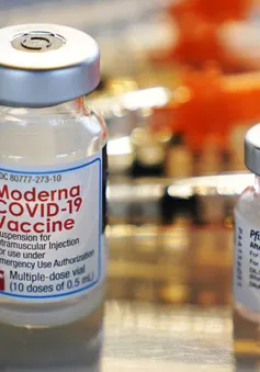 2/3 người trưởng thành ở Mỹ không có kế hoạch đi tiêm mũi vaccine COVID-19 cập nhật