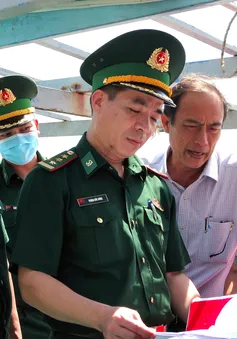 Kiên quyết xử lý nghiêm các tàu cá vi phạm trong hoạt động đánh bắt thuỷ sản