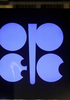 OPEC+ sẽ nhóm họp trực tiếp lần đầu tiên kể từ năm 2020