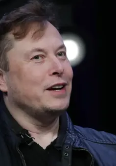 Elon Musk dự kiến sa thải 75% nhân viên Twitter