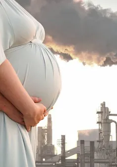 Ô nhiễm tiếp cận thai nhi và làm giảm số lượng tinh trùng trong tương lai của các bé trai