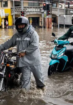 Bão Nalgae gây thiệt hại nặng nề ở Philippines