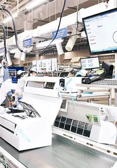 Doanh nghiệp nắm bắt cơ hội thị trường cuối năm