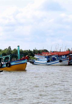 Còn nhiều tồn tại trong công tác gỡ “thẻ vàng” IUU