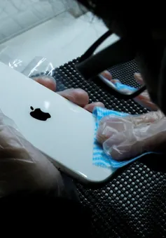 Người Nhật chuộng mua iPhone cũ