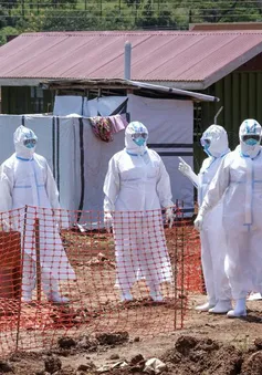 Căng thẳng trong tâm dịch Ebola ở châu Phi