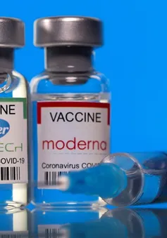 Biontech mở cơ sở sản xuất vaccine công nghệ mRNA ở Singapore