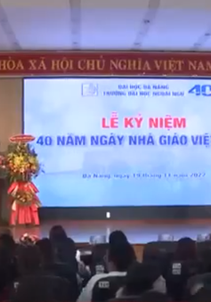 Các trường ở Đà Nẵng kỉ niệm Ngày Nhà Giáo Việt Nam