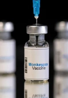 Vaccine phòng bệnh đậu mùa khỉ đạt hiệu quả 78%