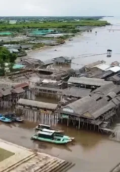 Sạt lở tại ĐBSCL diễn biến ngày càng nghiêm trọng