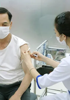 Vì sao người lớn cần tiêm vaccine trước dịp cuối năm?