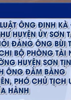 Quảng Ngãi kỷ luật hàng loạt tổ chức đảng và đảng viên vi phạm