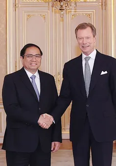 Thủ tướng Phạm Minh Chính hội kiến Đại Công tước Luxembourg
