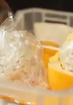 Cuộc chiến chống ma túy Captagon tại Trung Đông