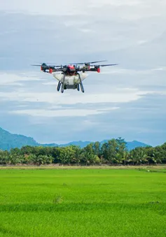 Drone XAG cùng nông dân trồng lúa Việt Nam gia tăng thu nhập