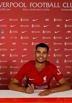 Cody Gakpo sẽ đem lại điều gì khi tới Liverpool?