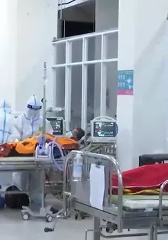 Đà Nẵng: Đêm giao thừa tại bệnh viện dã chiến