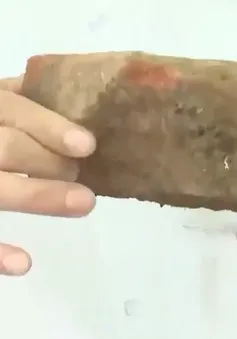 Phát hiện dấu tích tháp Chăm trong vườn rau ở nhà dân tại Pleiku