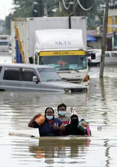 12.000 người phải sơ tán vì lũ lụt ở Malaysia