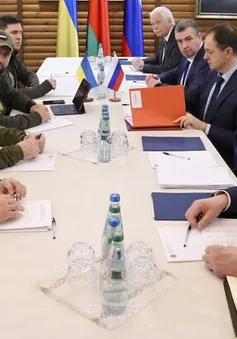 Nga - Ukraine cùng bắn tín hiệu tích cực về đàm phán