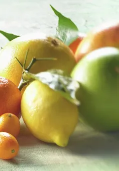 Mặt trái của trái cây có múi