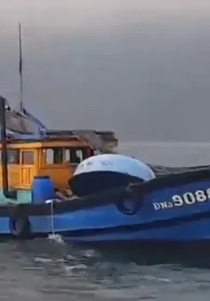 Bắt giữ tàu giã cào khai thác tận diệt hải sản