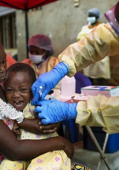 Congo bắt đầu tiêm vaccine Ebola ngăn chặn dịch bùng phát