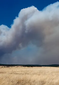 Mỹ: Cháy rừng kỷ lục bùng phát ngoài tầm kiểm soát ở bang New Mexico