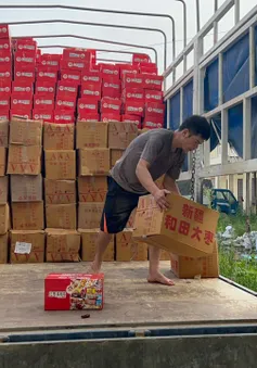 Tạm giữ hàng nghìn thùng bánh nghi nhập lậu