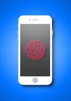 Những iPhone nào có Touch ID?