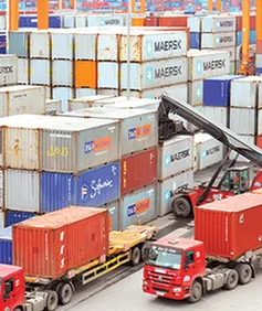 Chiến lược xuất khẩu linh hoạt của Việt Nam