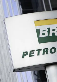 Tổng thống Brazil sa thải lãnh đạo thứ ba của Petrobras khi giá nhiên liệu tăng cao