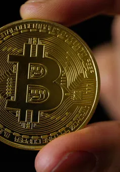 Bitcoin có thể lao xuống 8.000 USD