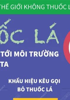 [Infographic] Ngày Thế giới không thuốc lá: Tác hại của thuốc lá đối với môi trường