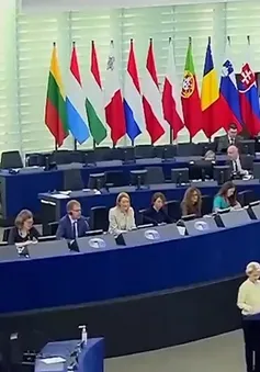 EU chấm dứt hoàn toàn sự lệ thuộc vào nguồn dầu khí Nga?