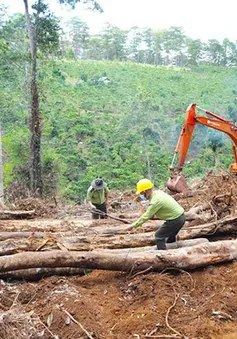 Lâm Đồng thu hồi nhiều dự án du lịch, nghỉ dưỡng triển khai chậm tiến độ