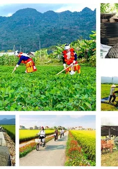 Thủ tướng đôn đốc triển khai quyết liệt các chương trình mục tiêu quốc gia