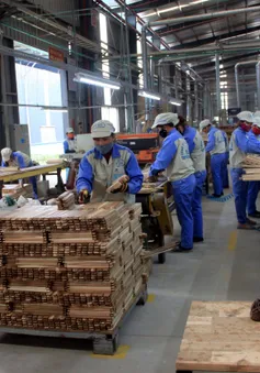 Hoa Kỳ điều tra lẩn tránh thuế chống bán phá giá tủ gỗ Việt Nam