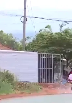 Đăk Nông tăng cường phòng chống dịch tả lợn Châu Phi