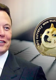 Elon Musk bị đòi bồi thường 258 tỷ USD vì thao túng Dogecoin