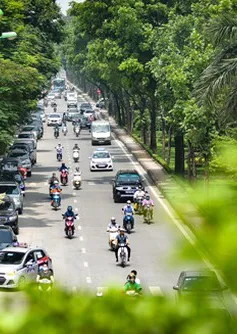Hệ thống cây xanh ở Hà Nội: Nhiều hạn chế, cần điều chỉnh khoa học và hợp lý