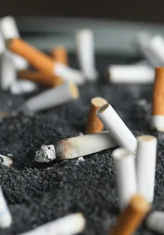 Mỹ đề xuất hạn chế nồng độ nicotine trong thuốc lá