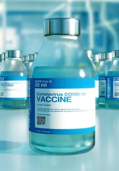 Vaccine COVID-19 của Sinovac được đăng ký có điều kiện ở Nam Phi